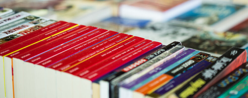 Photo of many books