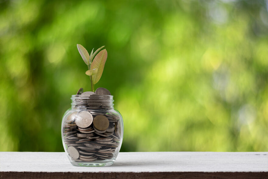 Pension Pot